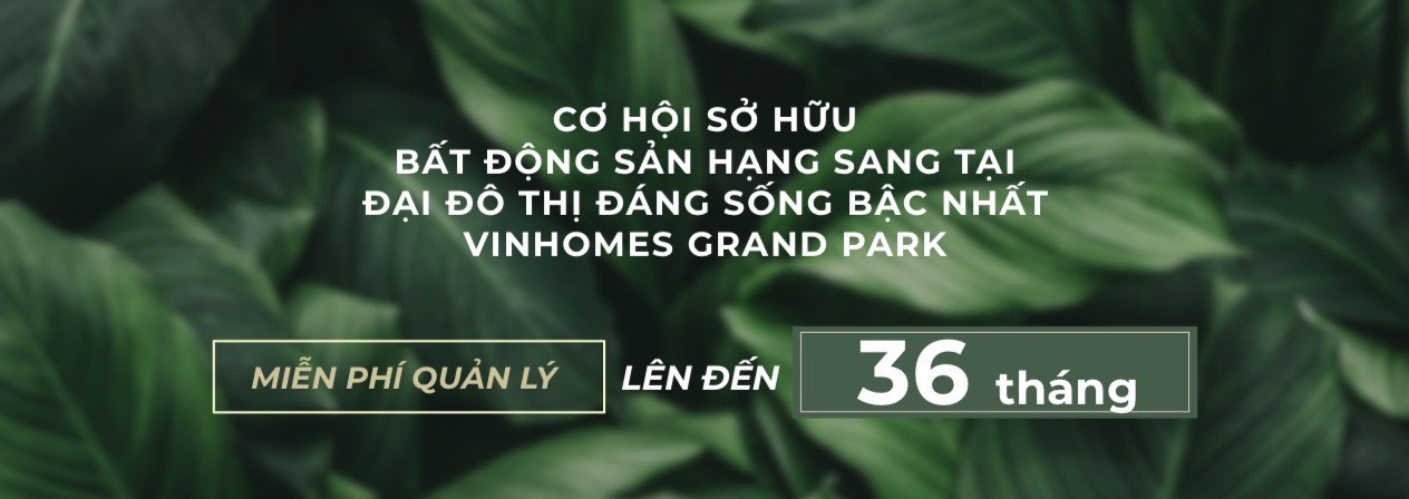 phi quan ly